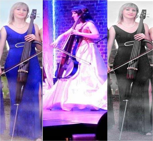 cello artists vadodara